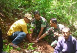 Tanam Pohon Bersama TNI (lanjutan...)